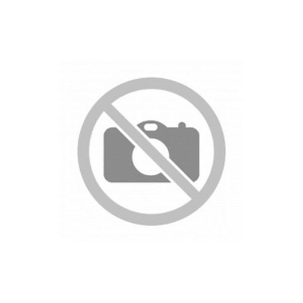 SIDE SWEEPING BRUSHES KIT (2) 227897